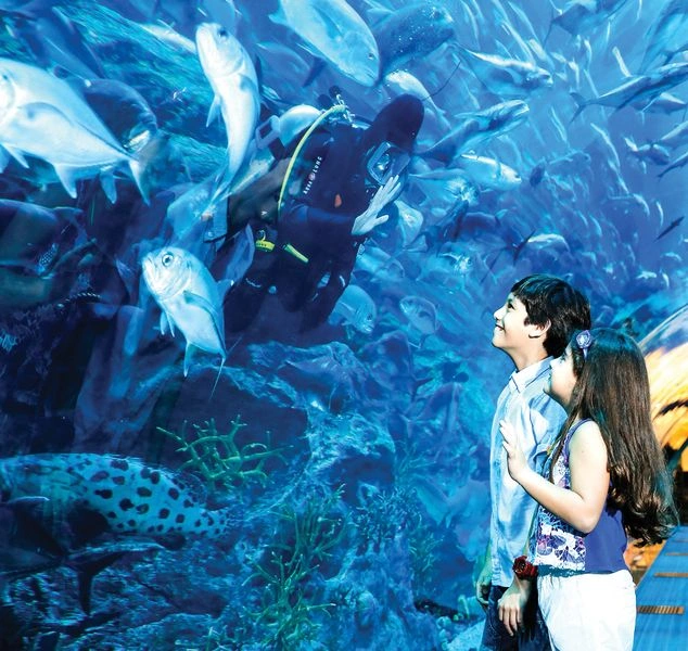 معرفی آکواریومهای دبی